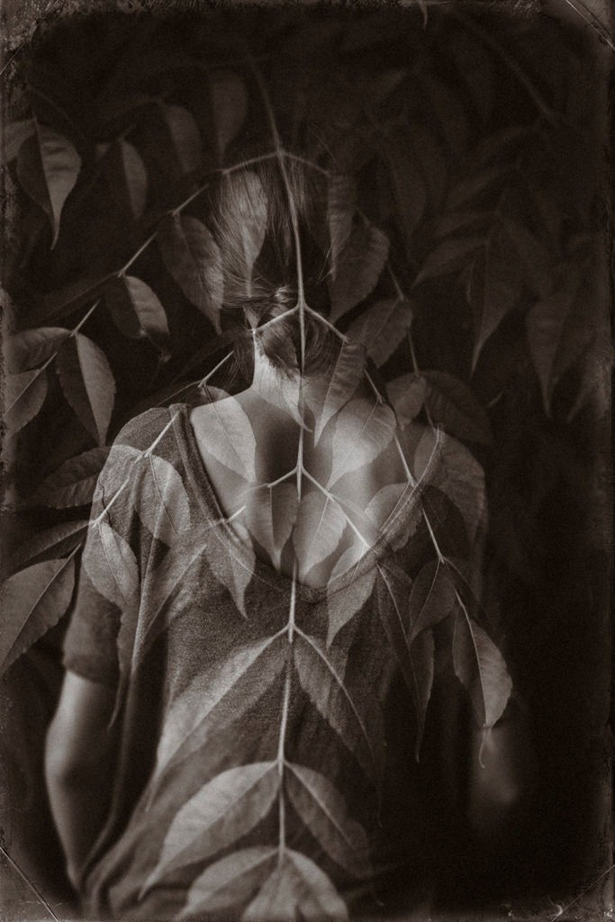 Law of Entanglement
