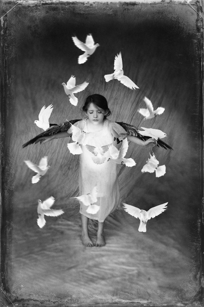 Hovering by Erika Masterson