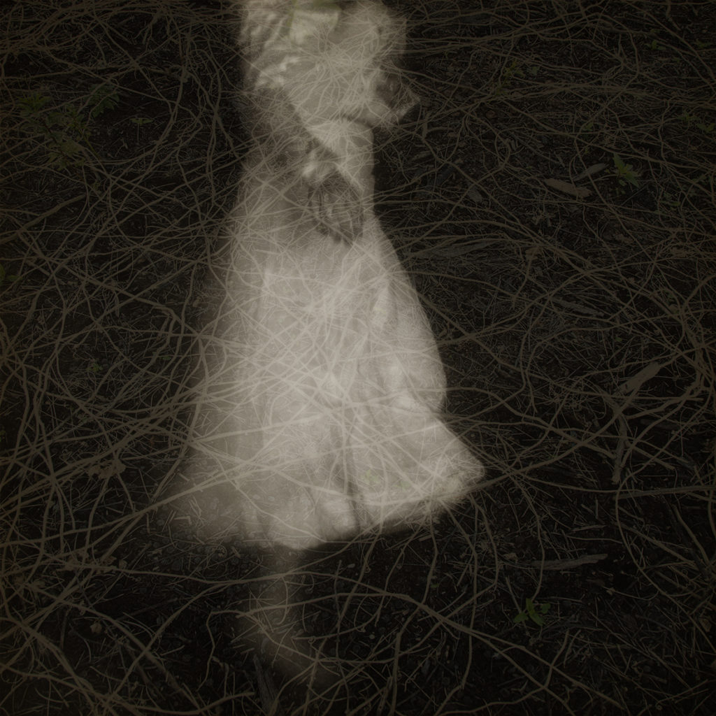 Awakening by Erika Masterson