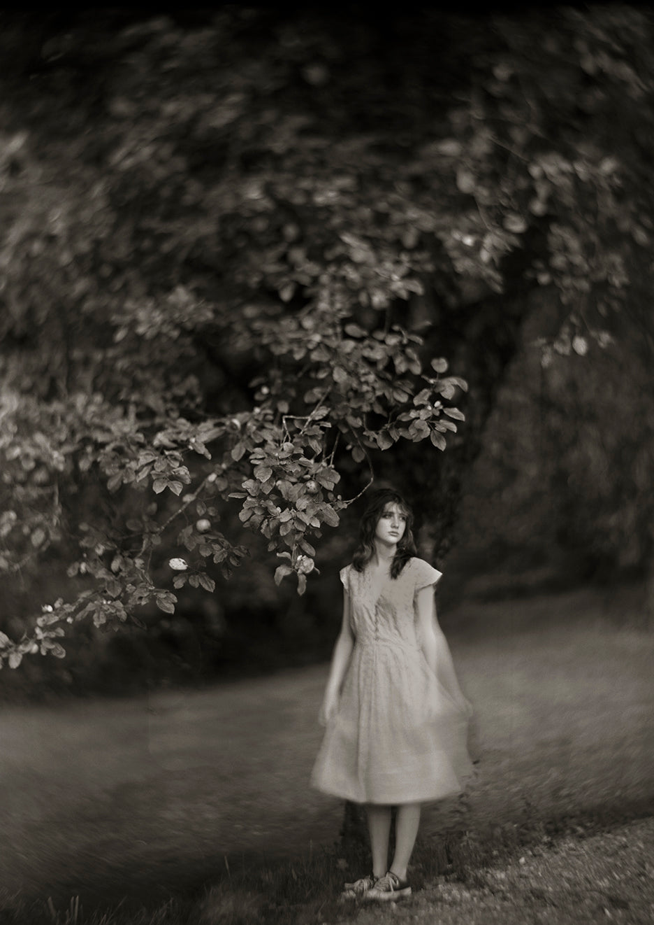 A black-and-white photograph of a girl standing under a tree with apples, surrounded by blurred foliage.