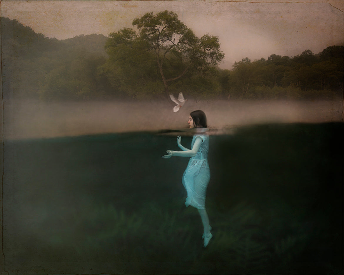 A fine art photograph featuring a girl standing in a serene lake with a white dove descending upon her, set against a foggy background.