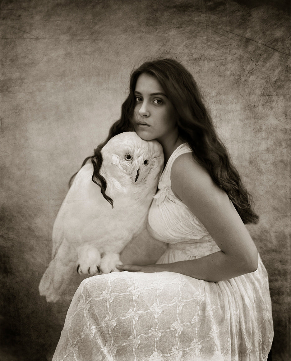 A fine art photograph featuring a woman sitting and cradling a white snow owl on her lap.