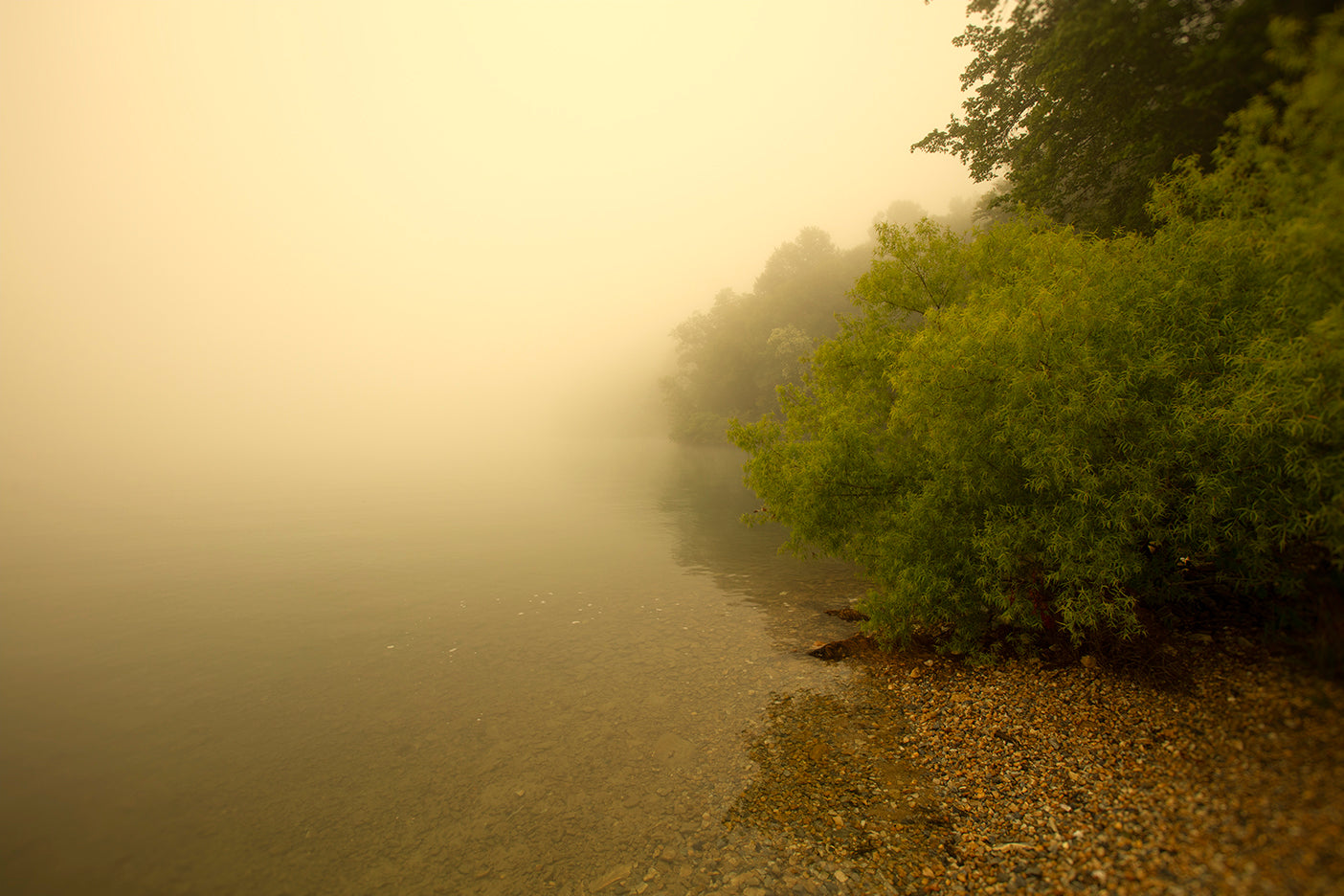 A misty morning scene at the edge of a lake with trees and a rocky shore, captured in golden tones.