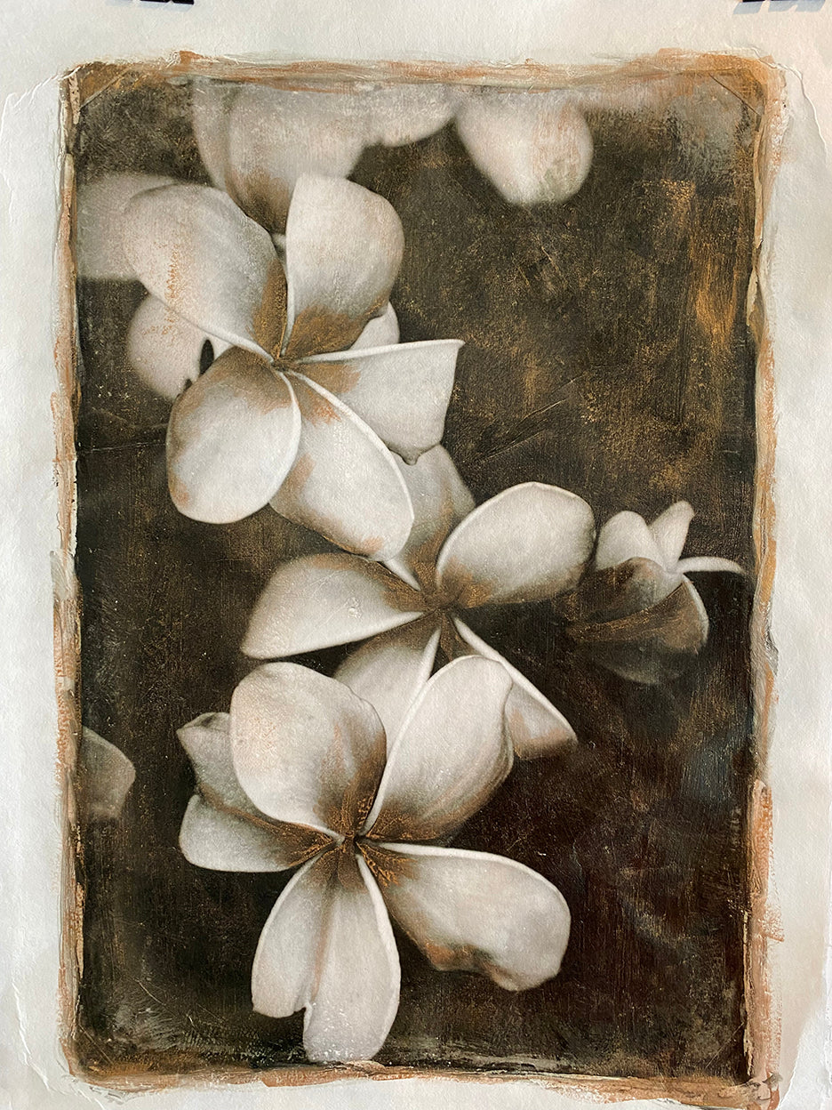 A hand-painted black and white image of plumeria flowers with gold accents on mulberry paper