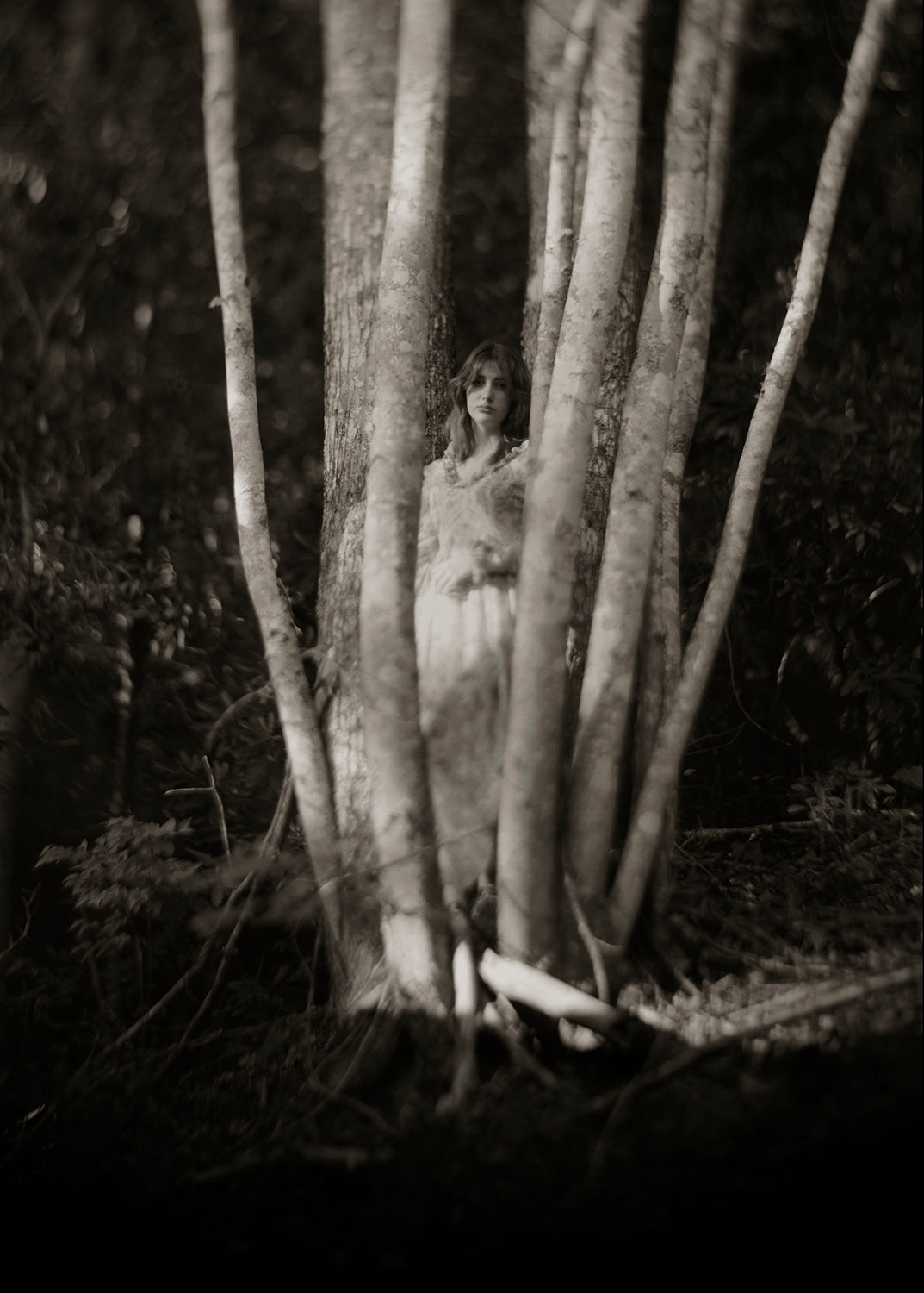 Black and white photograph of a person standing among maple trees, emphasizing scale and the dreamlike quality of nature.