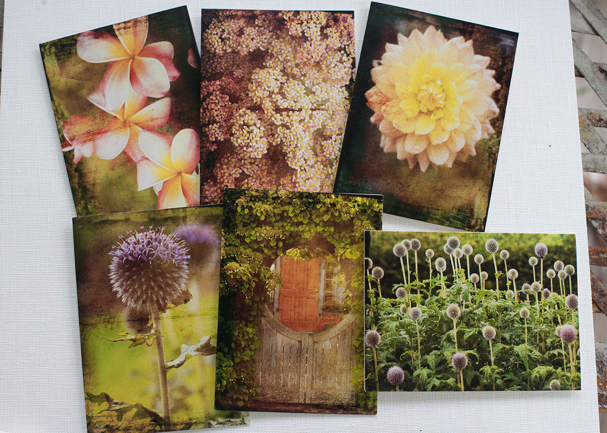 A collection of vintage flower note cards displayed on a surface, featuring various floral photographs.