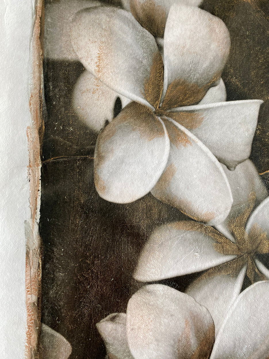 plumerias in black and white with vintage hand painted gold