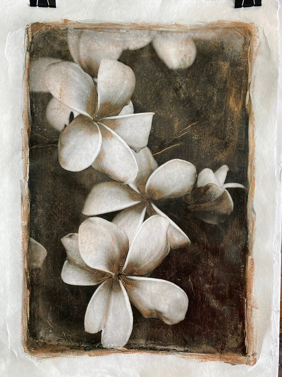 plumerias in black and white with vintage hand painted gold