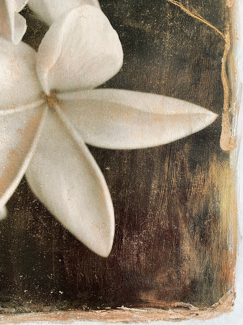 plumerias in black and white with vintage hand painted gold