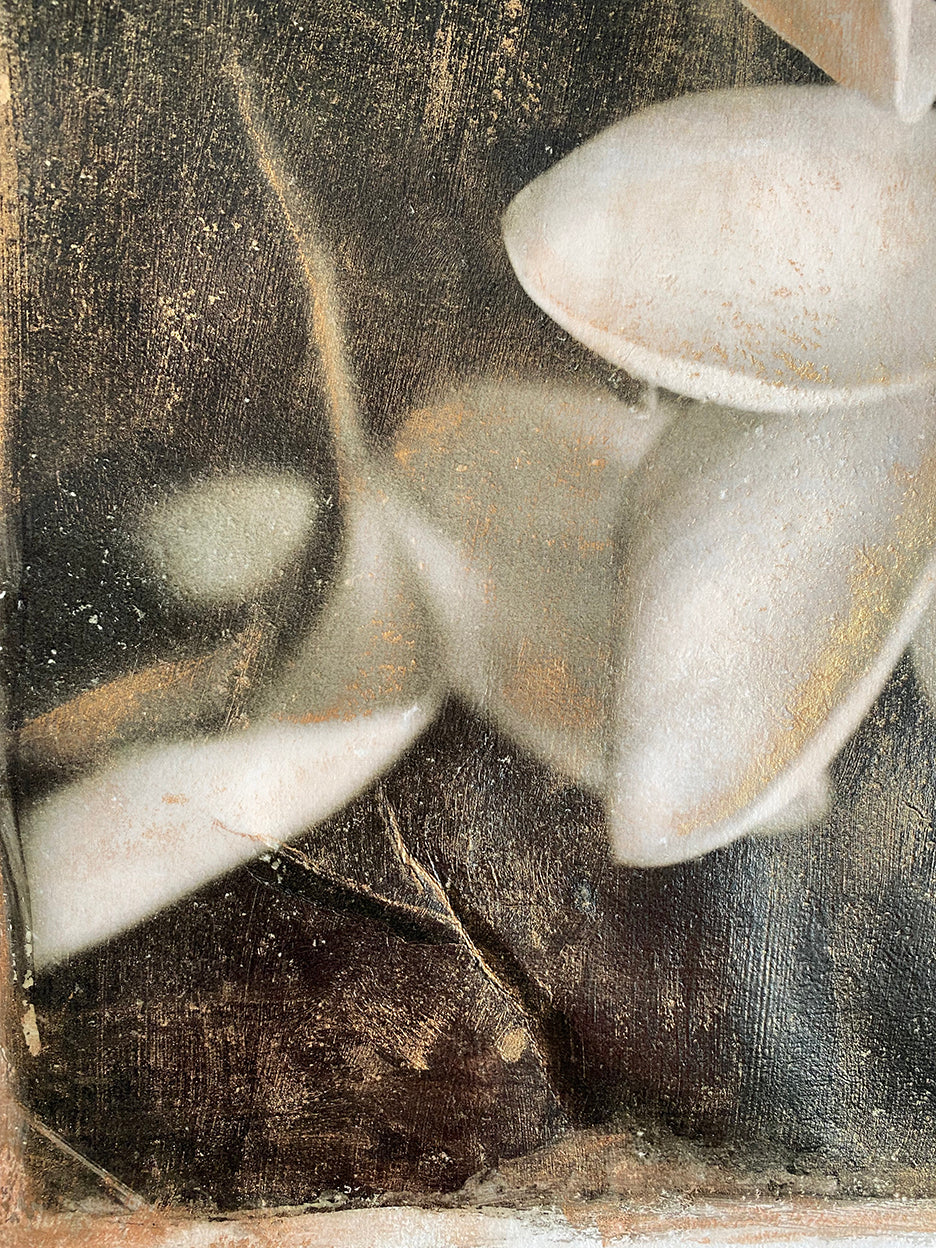 plumerias in black and white with vintage hand painted gold