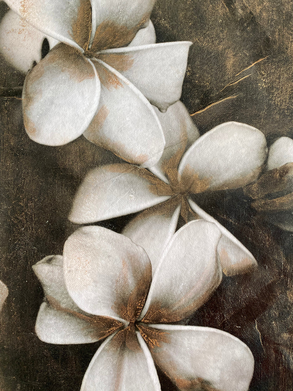 plumerias in black and white with vintage hand painted gold