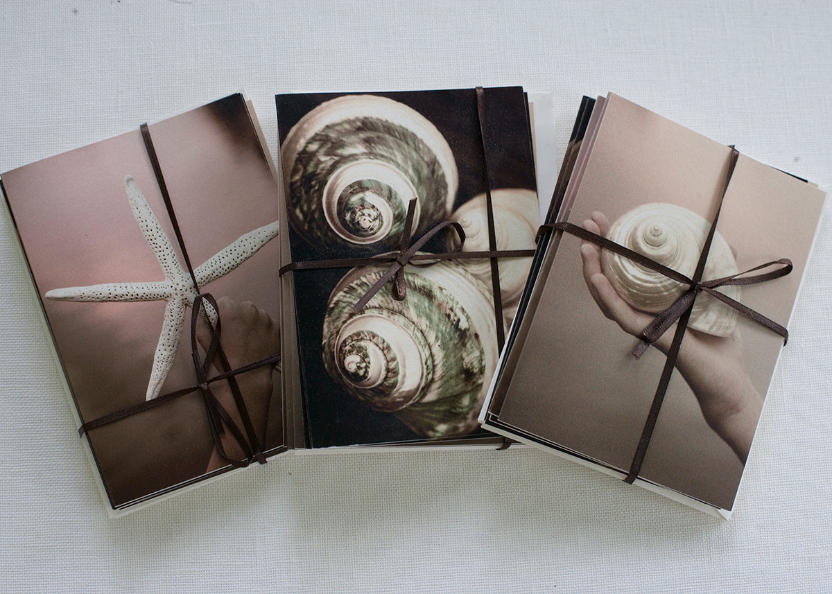 shell note cards