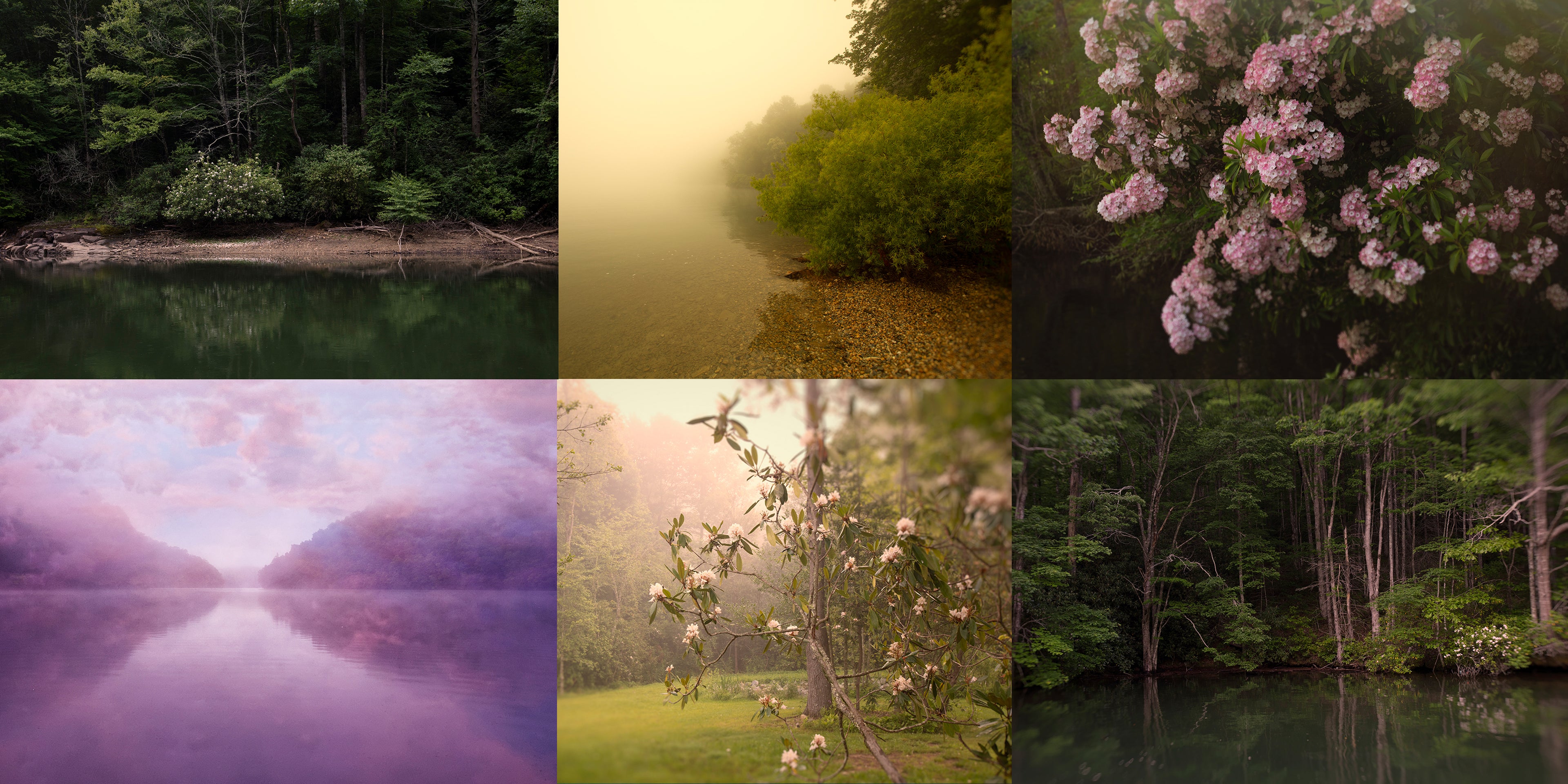 dreamy landscapes in pink and gold hues by erika masterson