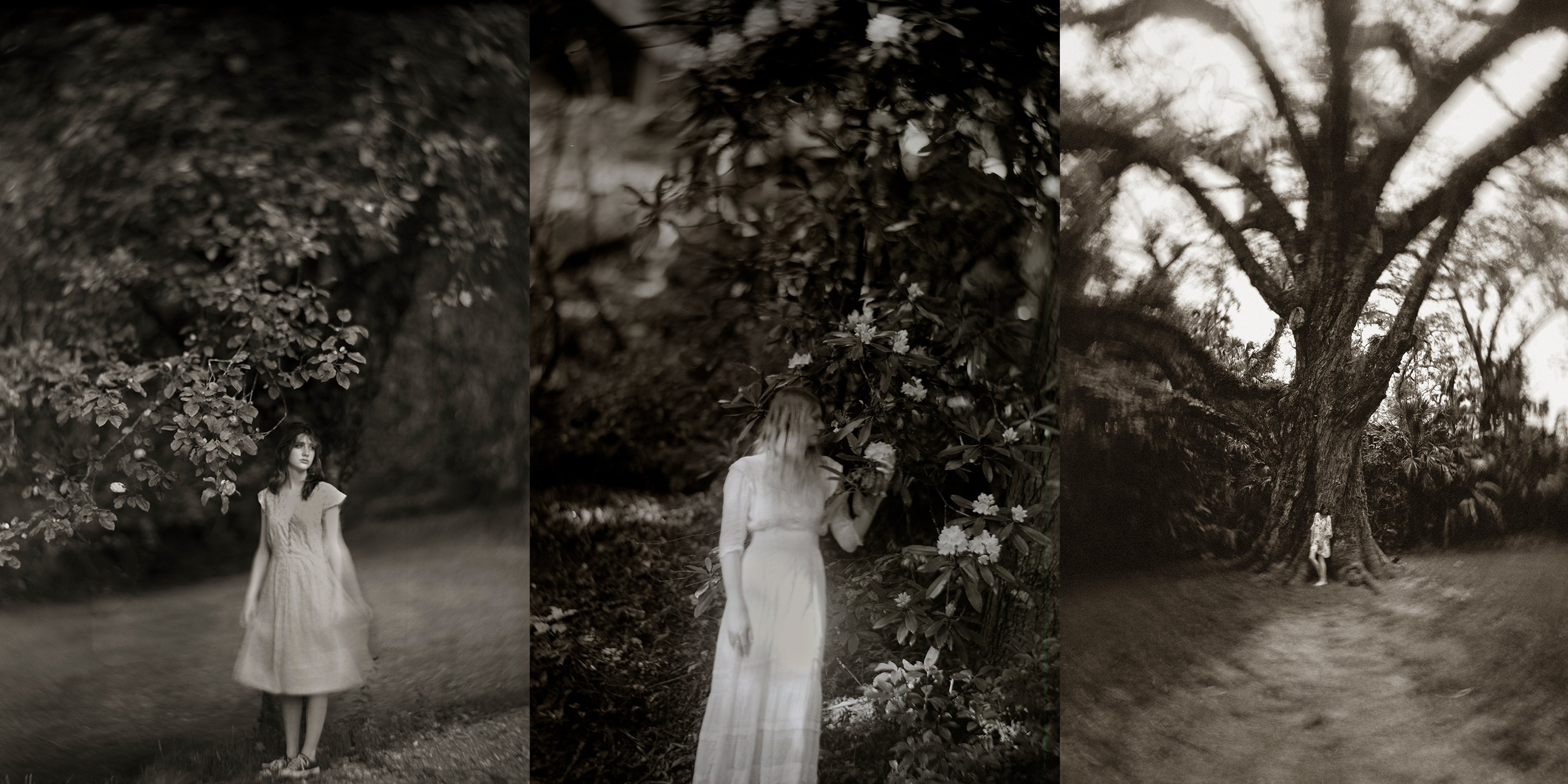 dreamy sepia images of girls under trees
