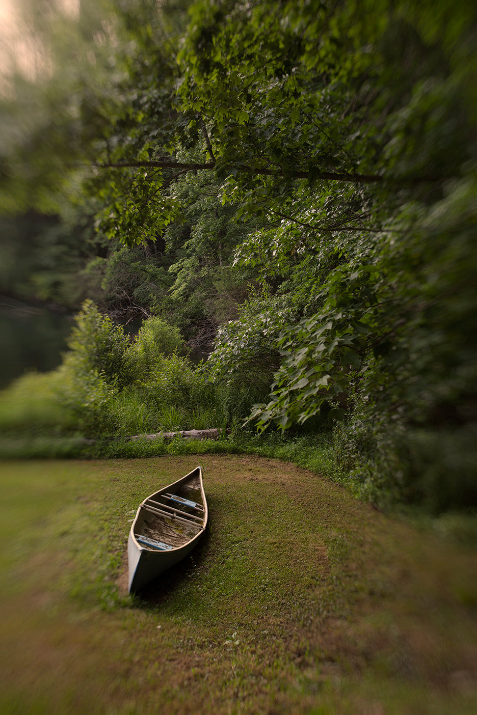 A canoe placed on a grassy shore with trees and foliage in the background.