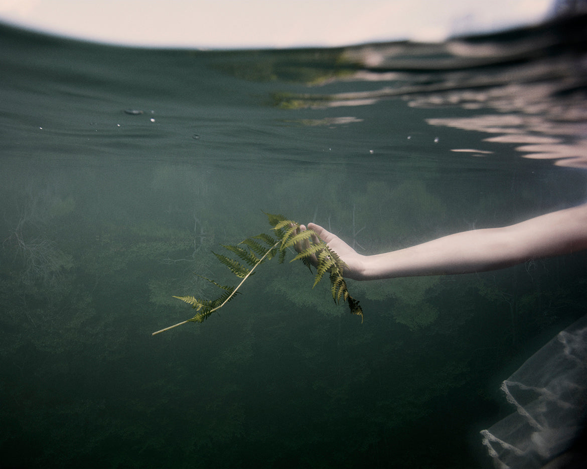A close-up image of a person's hand submerged in water, holding a delicate fern, with a blurred green background.