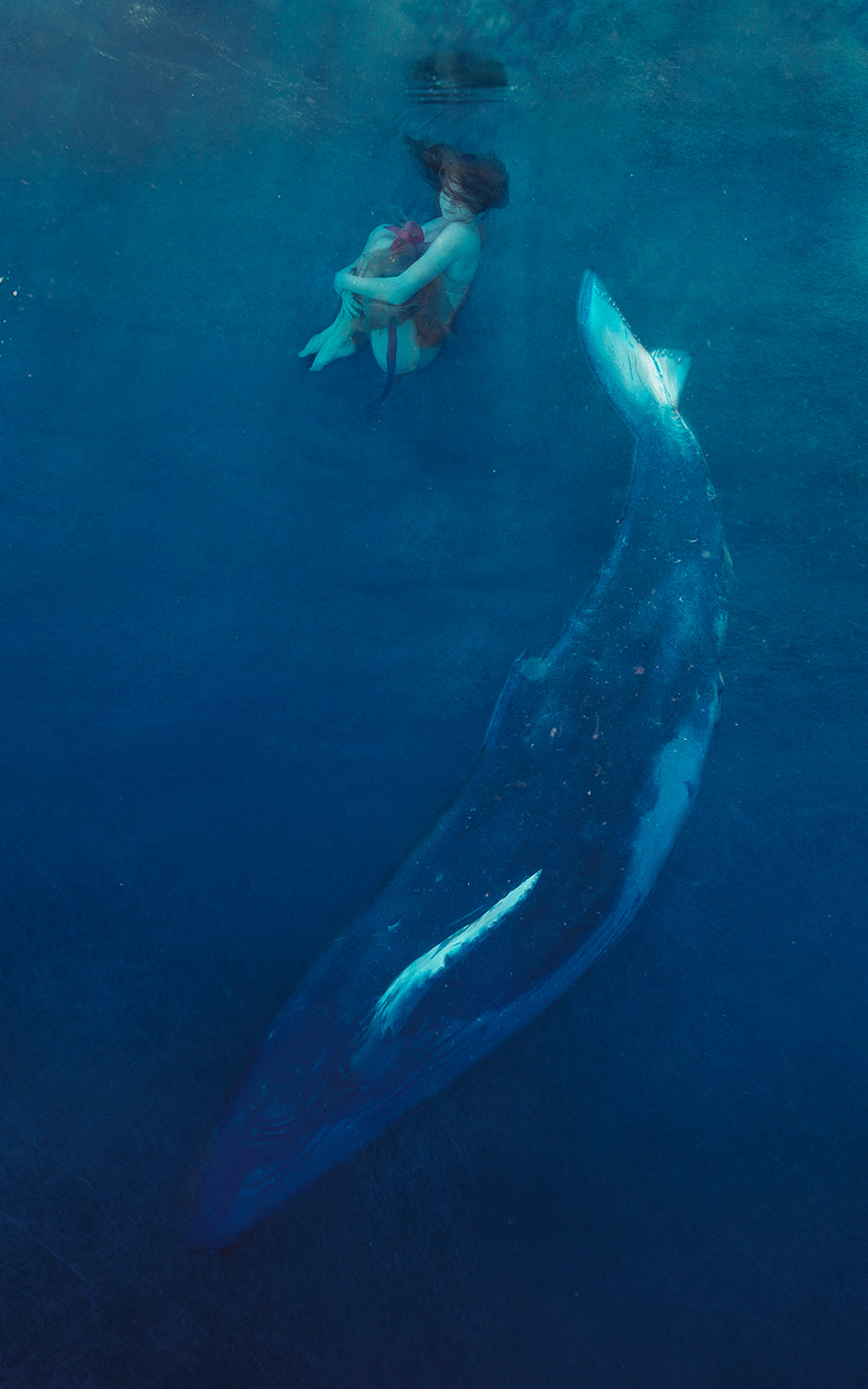 An artistic representation of a young girl swimming alongside a large blue whale in a underwater setting.