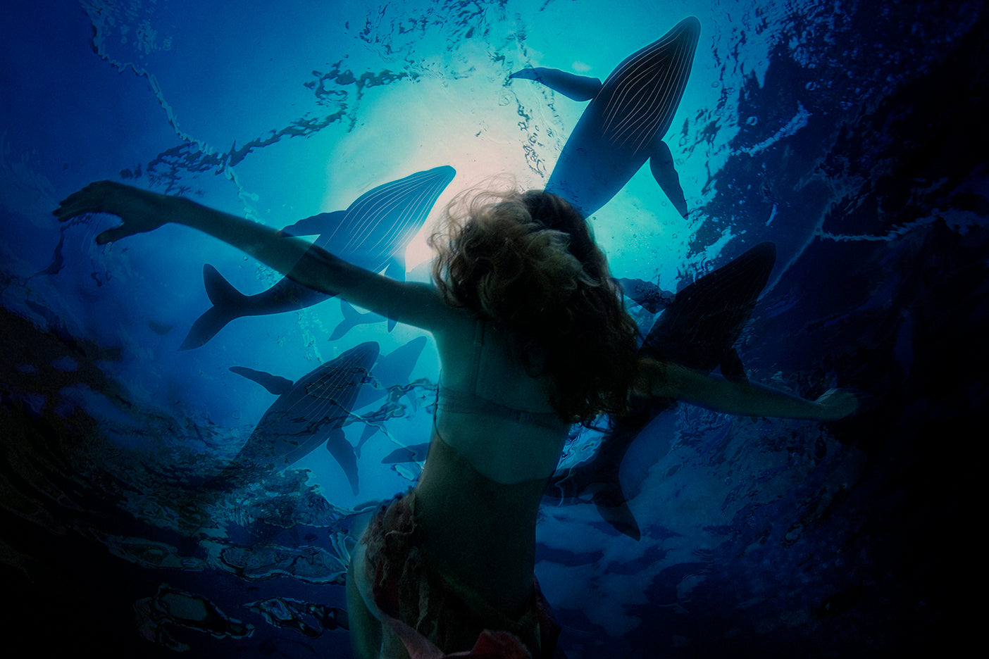 A fine art photograph featuring an underwater scene with a girl and whales. The girl is seen swimming upwards towards the surface, surrounded by whales in a serene blue underwater environment.