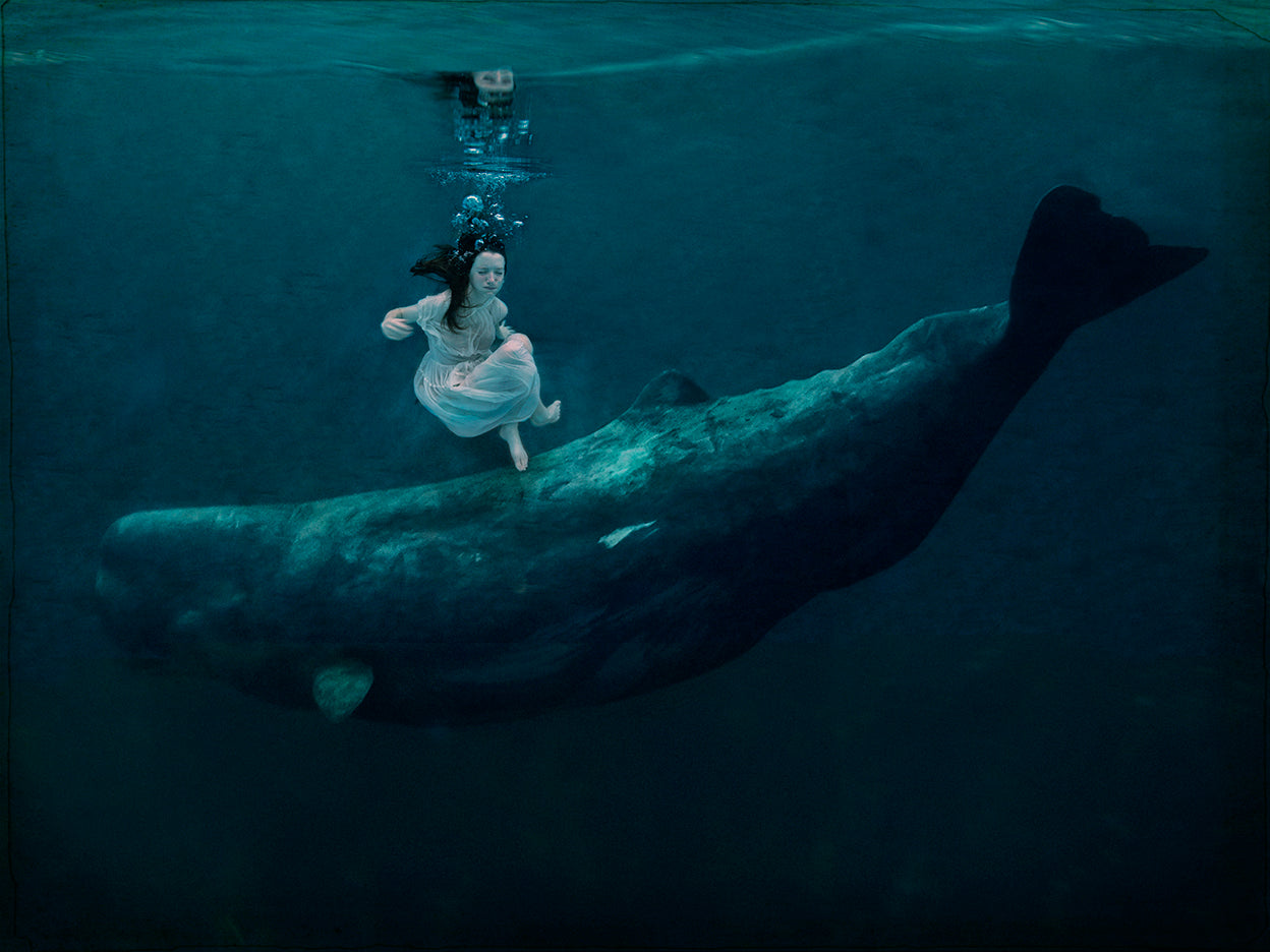 Underwater photograph featuring a young girl swimming alongside a whale. The image has a serene, ethereal quality with a focus on the girl and the whale.