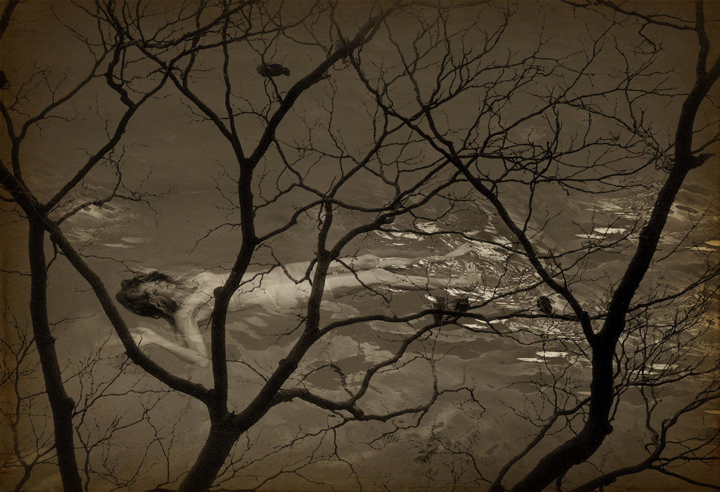 A black and white photograph of a person lying down, partially submerged in water, with tree branches overhead, combining elements of nature in an artistic representation.