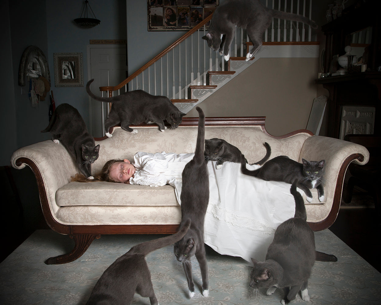 A person lying on a vintage-style sofa surrounded by multiple cats, with a whimsical and dreamlike atmosphere.