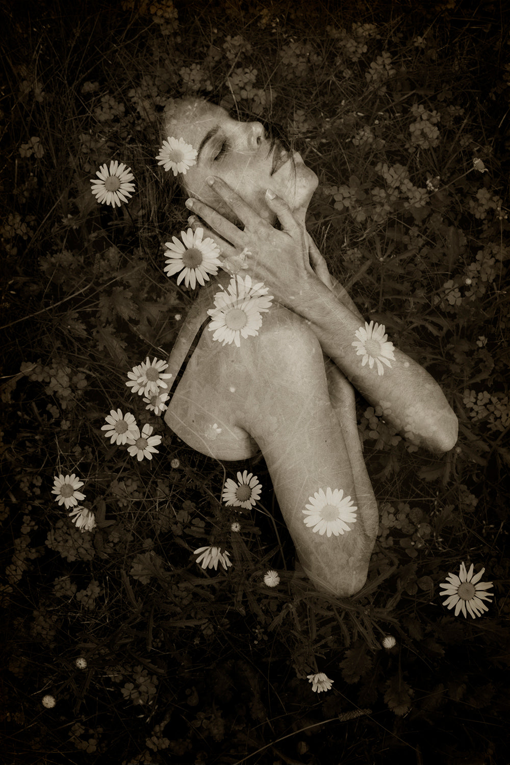 A black and white photograph of a person lying down surrounded by daisy flowers, with a vintage tone.