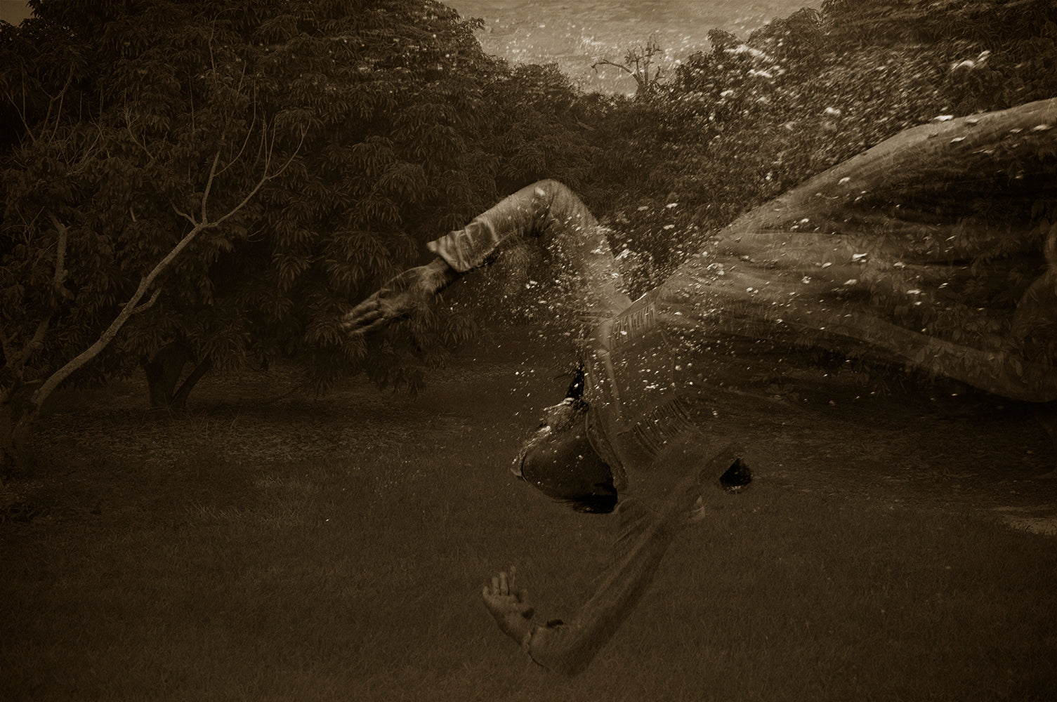 A sepia-toned photograph of a person diving into water, surrounded by foliage, capturing motion and the theme of nature.