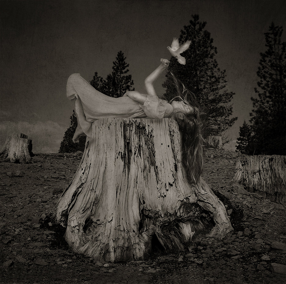 Black and white photograph of a person lying on a tree stump with a dove near their head, in a serene outdoor setting with trees in the background.