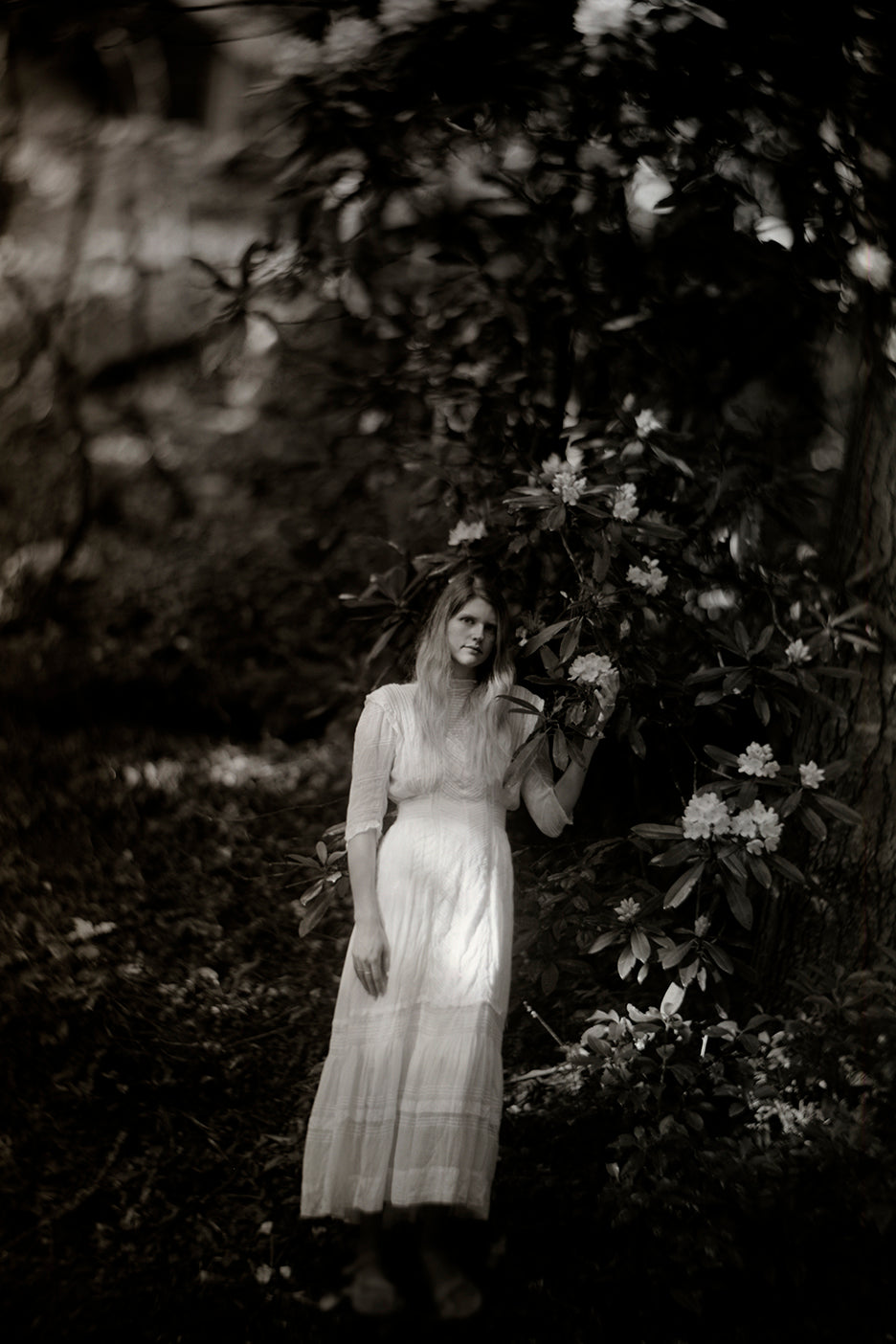 A black and white photograph featuring a person in a light-colored dress standing near rhododendron bushes. The image has a dreamlike, timeless quality with a soft focus on the subject and the foliage in the background.