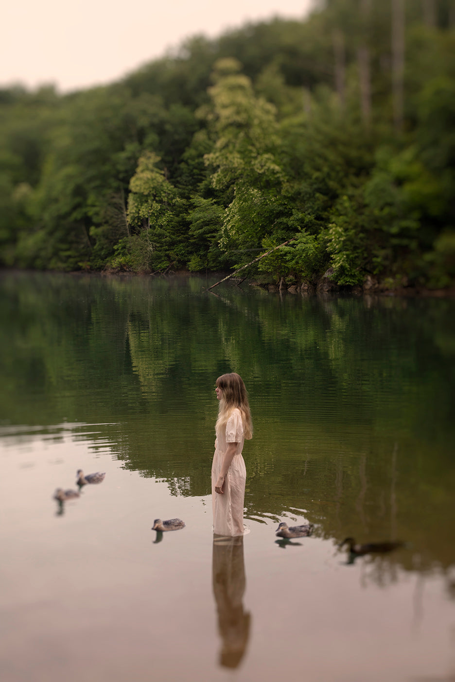 A fine art photograph featuring a girl standing on a lake at dusk, surrounded by ducks and nature, with a reflective water surface and trees in the background.