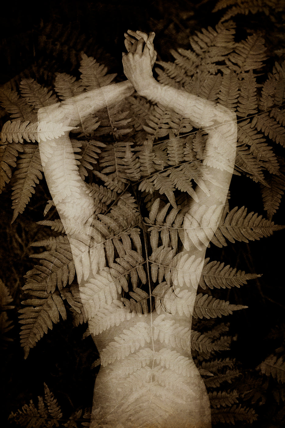 A fine art photograph featuring a girl's back view with her skin blurred and merged with fern leaves, rendered in sepia tones.