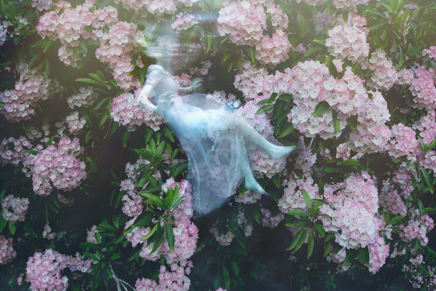 A whimsical photograph featuring a person with butterfly wings, blending seamlessly with a floral background, representing the 'Between Worlds' artistic theme.