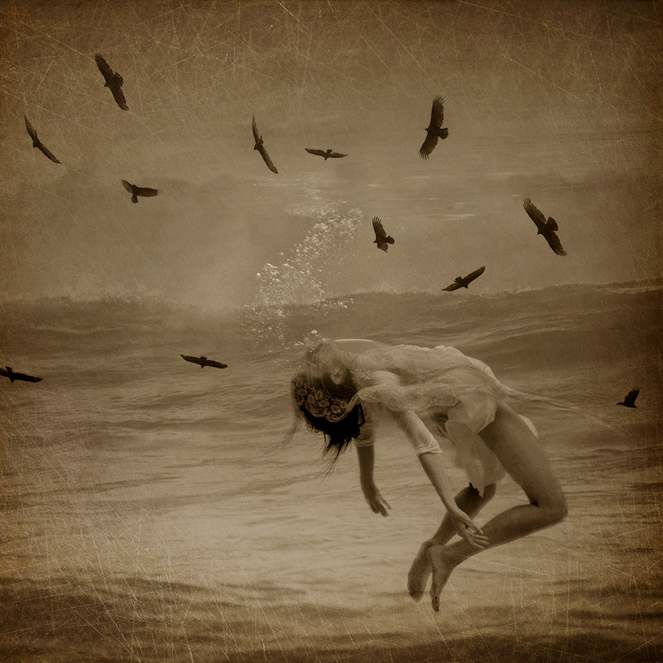 A fine art photograph featuring a girl in a flowing white dress gracefully floating underwater with a background of birds in flight and a calm sea.