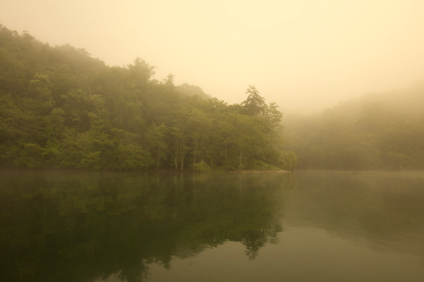 A misty landscape featuring a calm body of water reflecting trees and a soft, golden light.