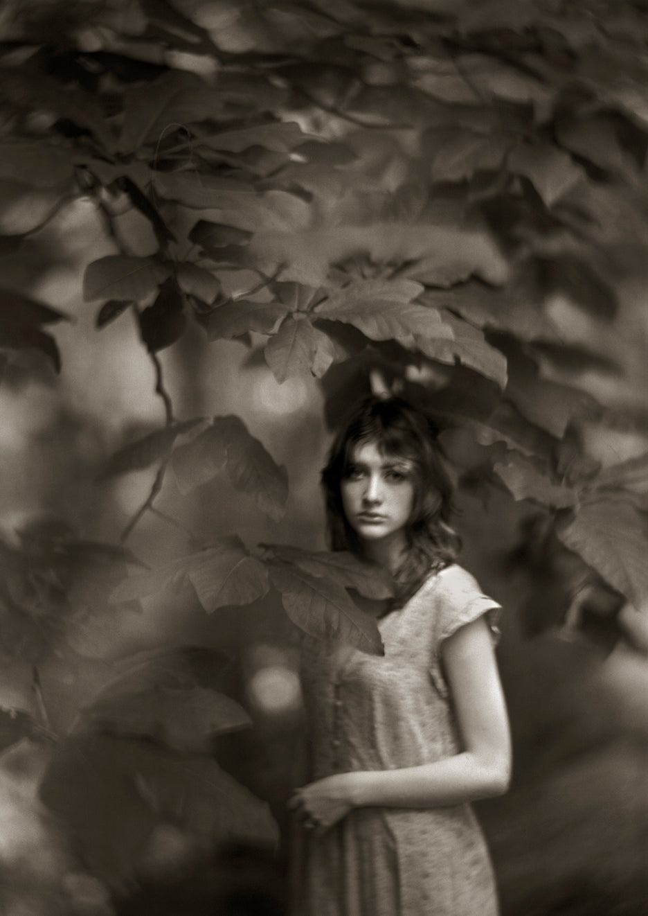 A black and white fine art photograph featuring a girl standing under a hickory tree, surrounded by green leaves, capturing a serene and dreamlike atmosphere.