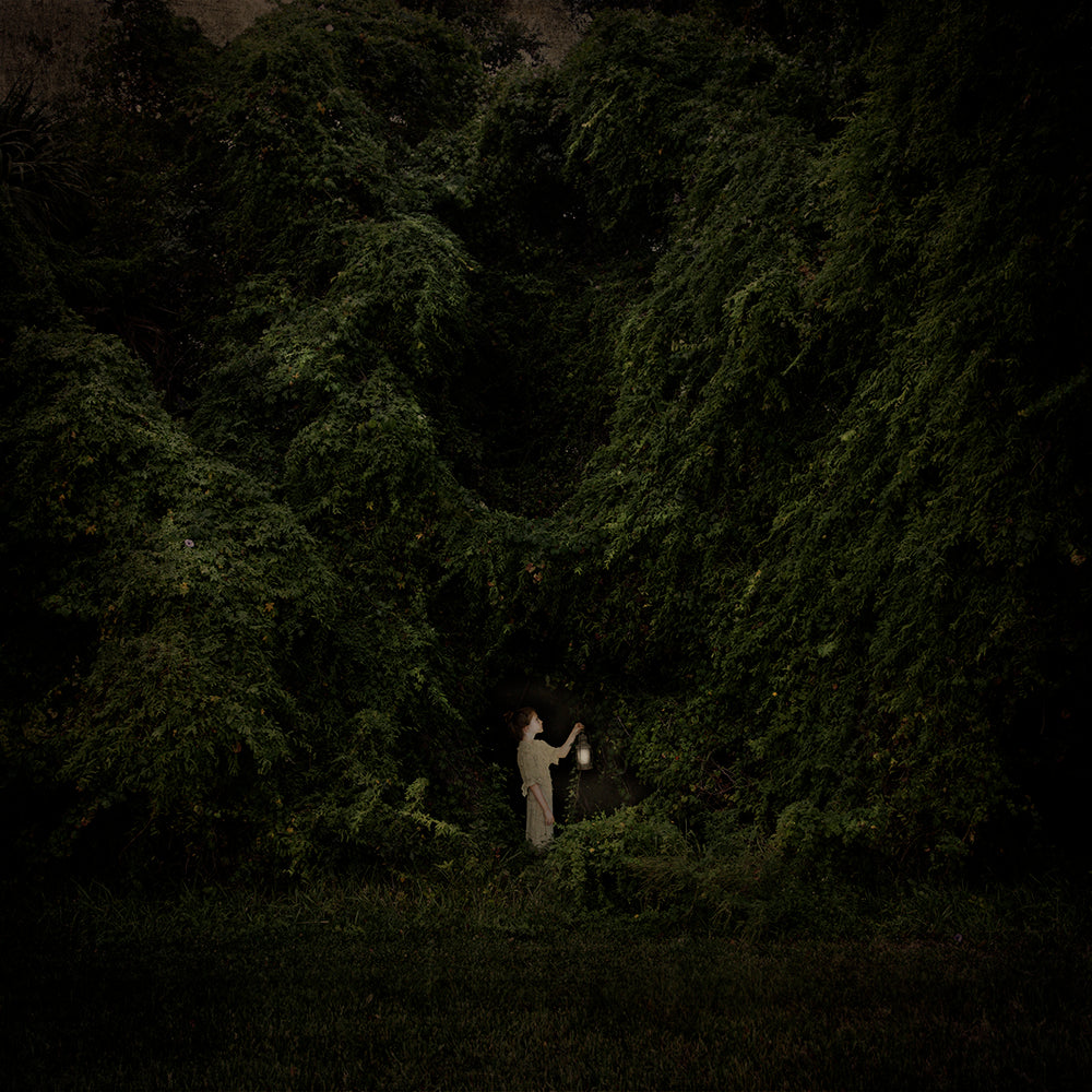 A person standing in a lush, green environment reaching upwards, capturing a moment of connection with nature.