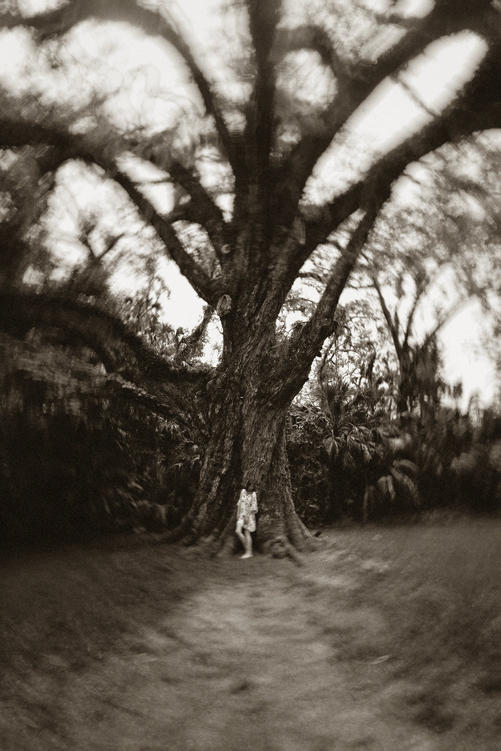 Black and white photograph of a person standing near a large oak tree with a dreamlike, timeless quality.