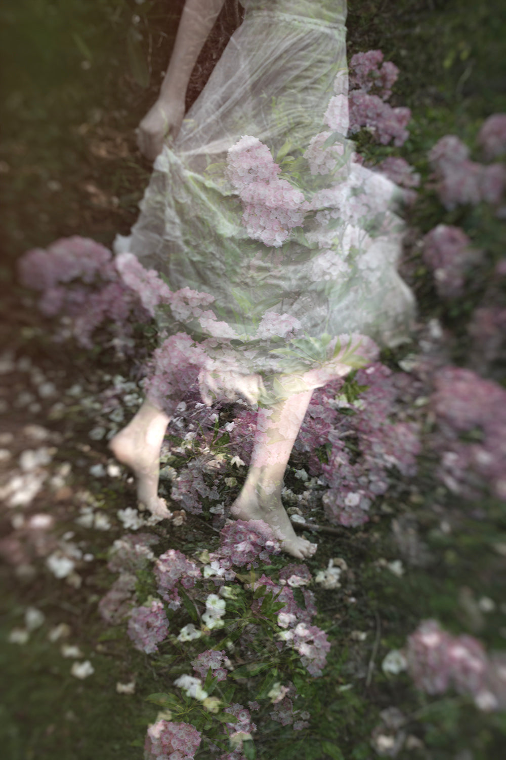 A digital artwork featuring a figure in a vintage dress with pink petals overlayed on a natural outdoor setting.