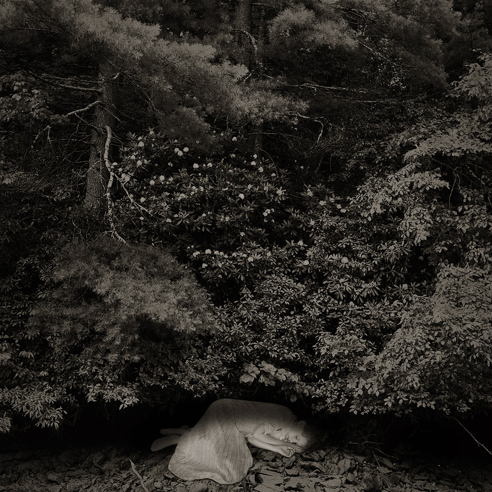 A black and white photograph of a person lying down under a dense tree canopy, emphasizing a sense of peace and connection with nature.