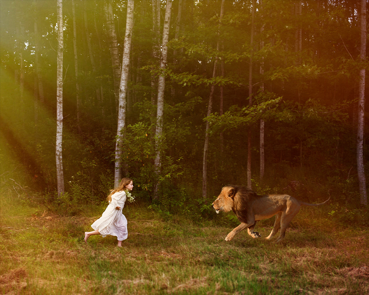 A photo within the 'Inspirations' collection depicting a person in a white dress running towards a lion in a forest setting, with dappled light and a sense of movement.