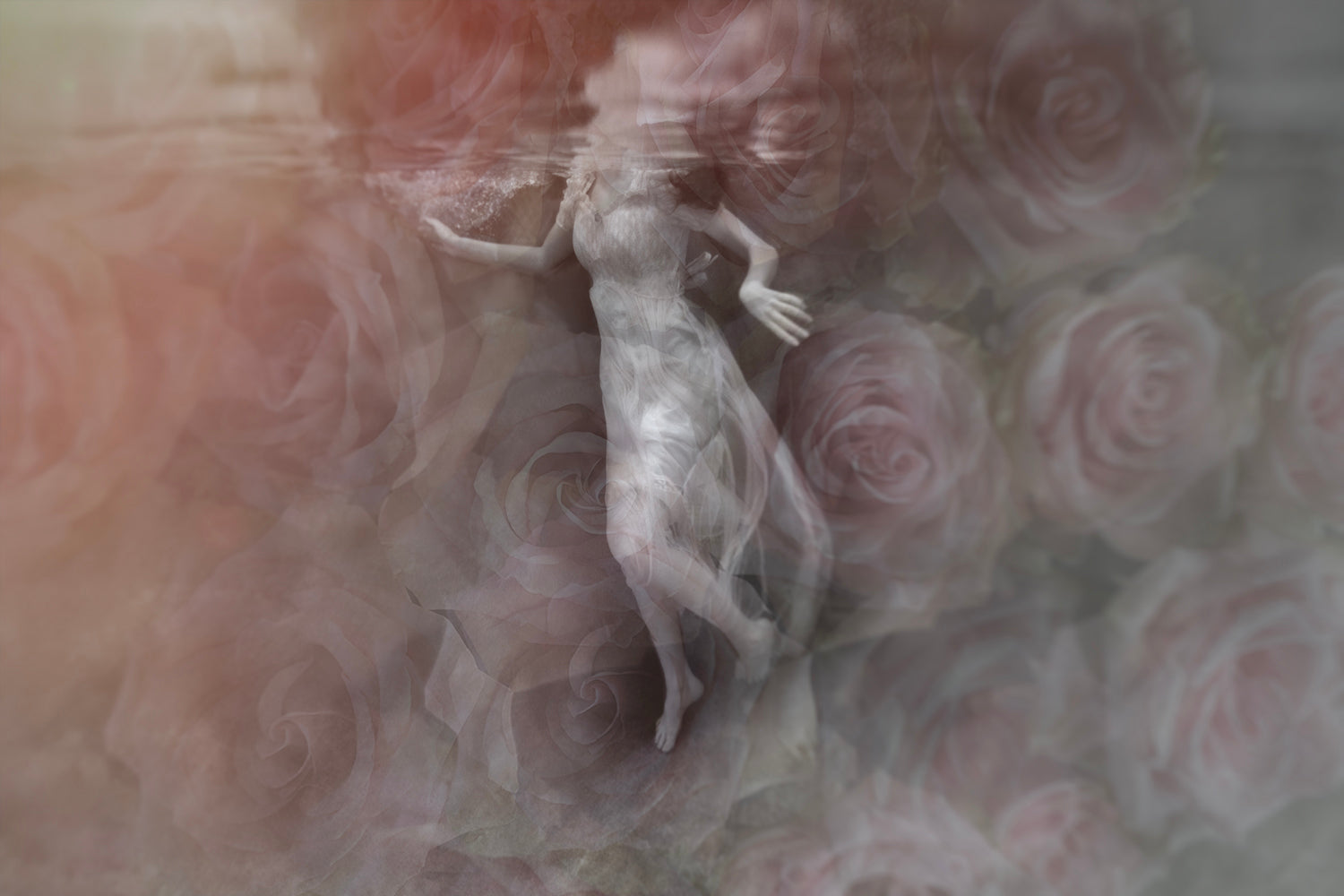 A digital artwork depicting a figure with butterfly wings, floating above a bed of roses, with a double exposure effect.