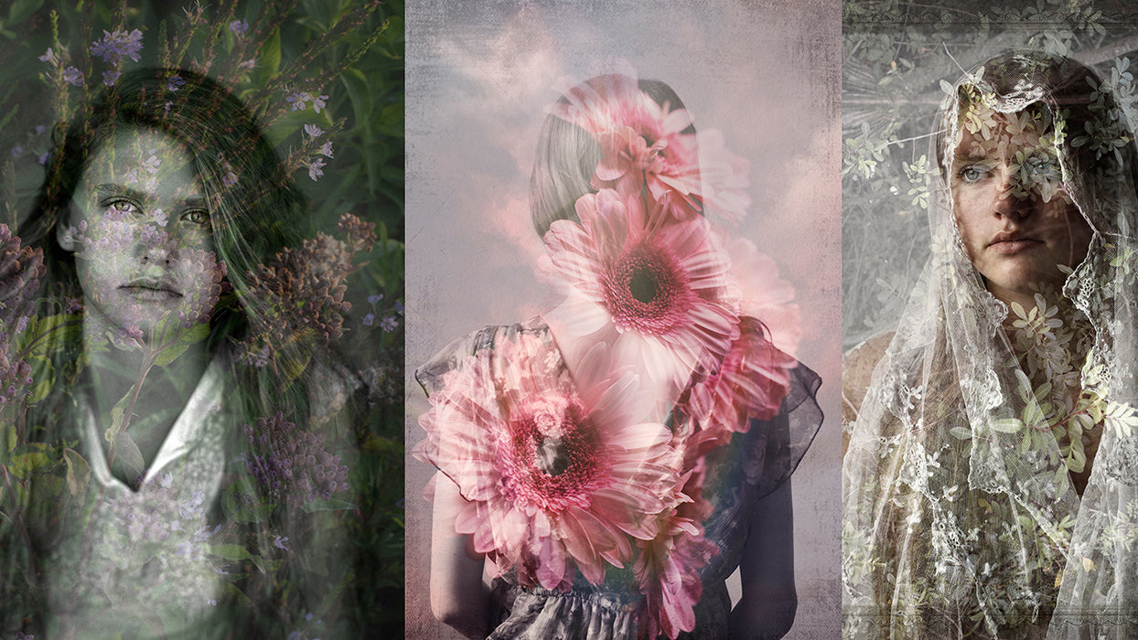 Tangled up in Beauty; A Journey through layers