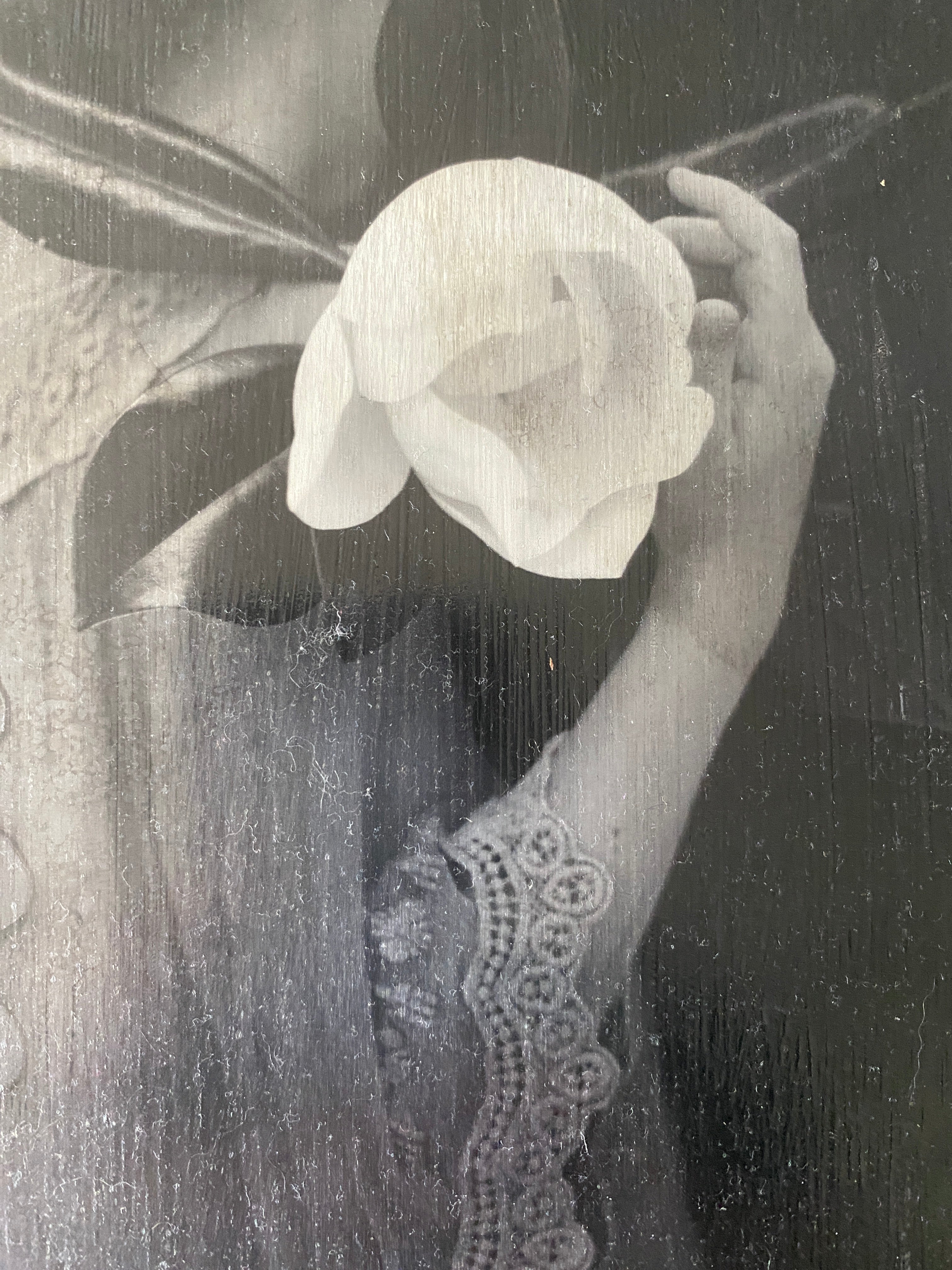 Magnolia Pigment Transfer on Metal