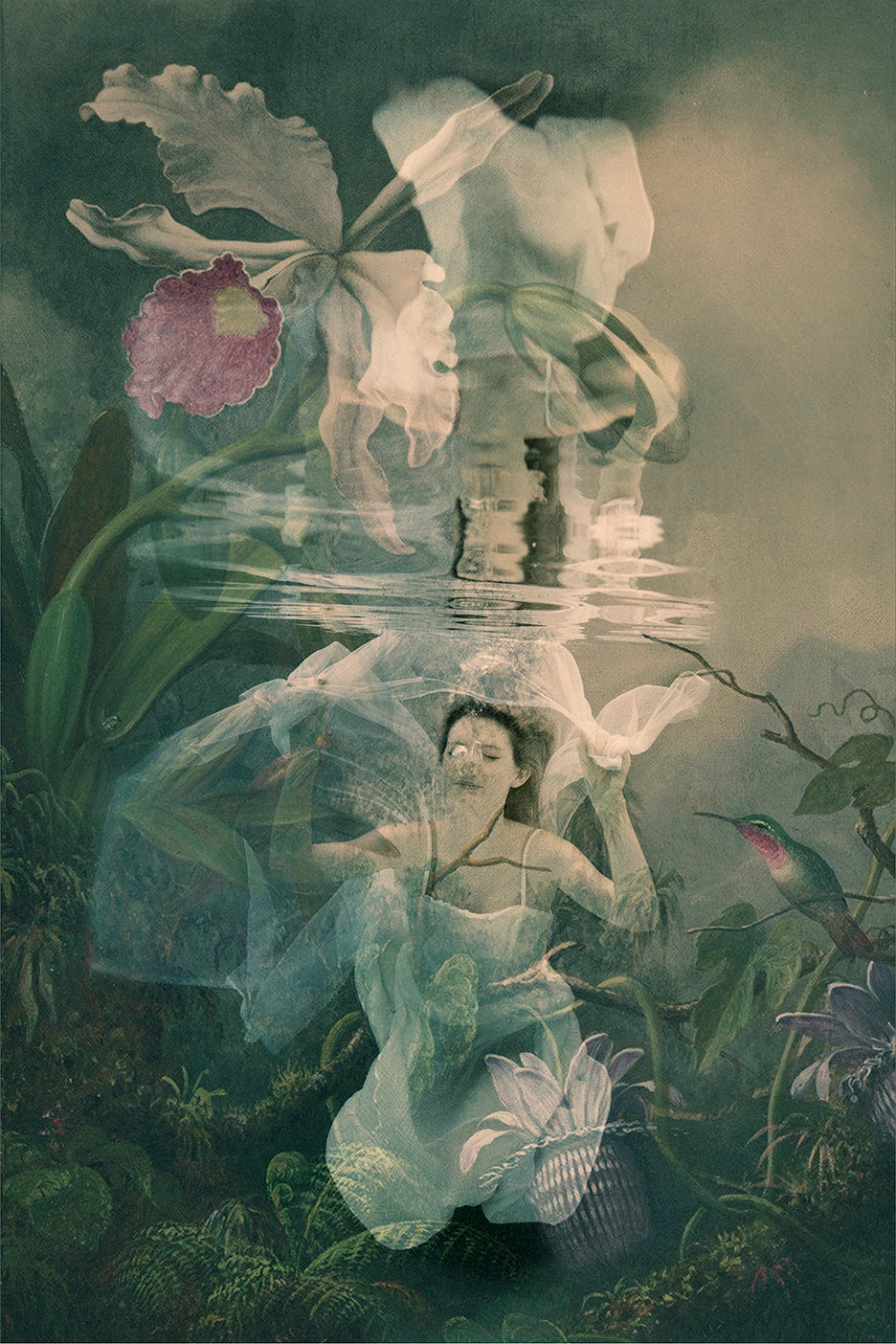 girl underwater in fairy like world with orchid and bird