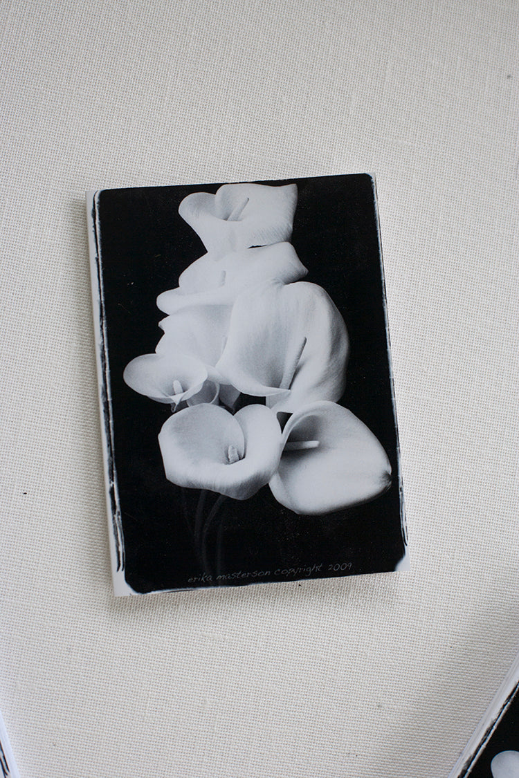 Calla Lily Note Cards