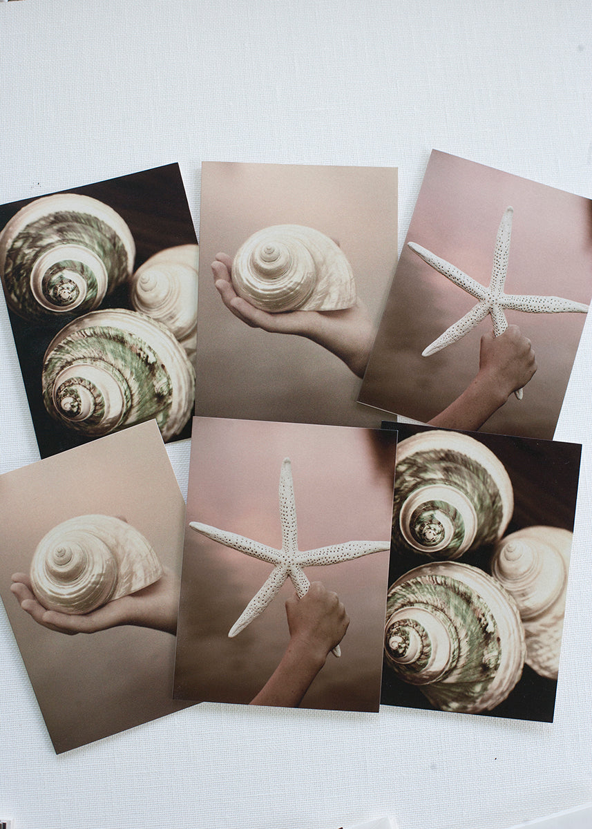 Sea Shell Note cards