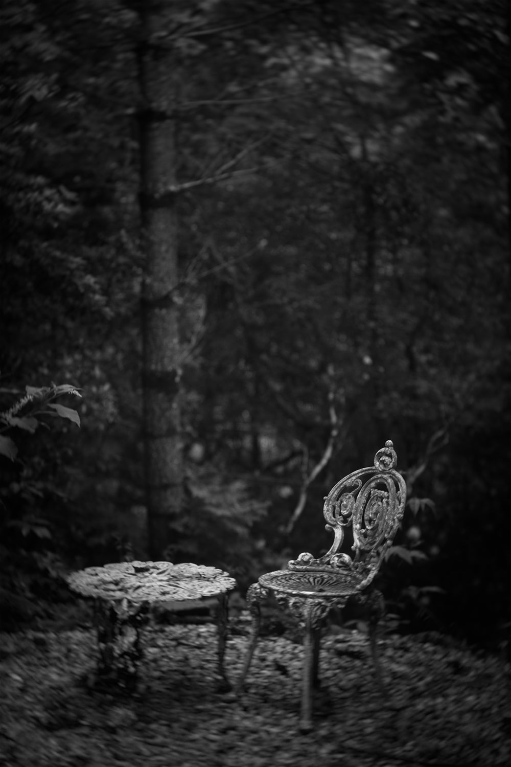 Garden Chair