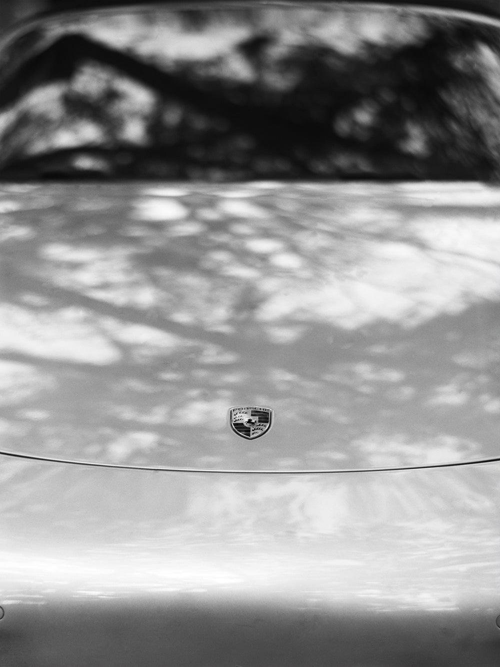 Close-up of a Porsche  911 car emblem on a car's surface with a blurred background.