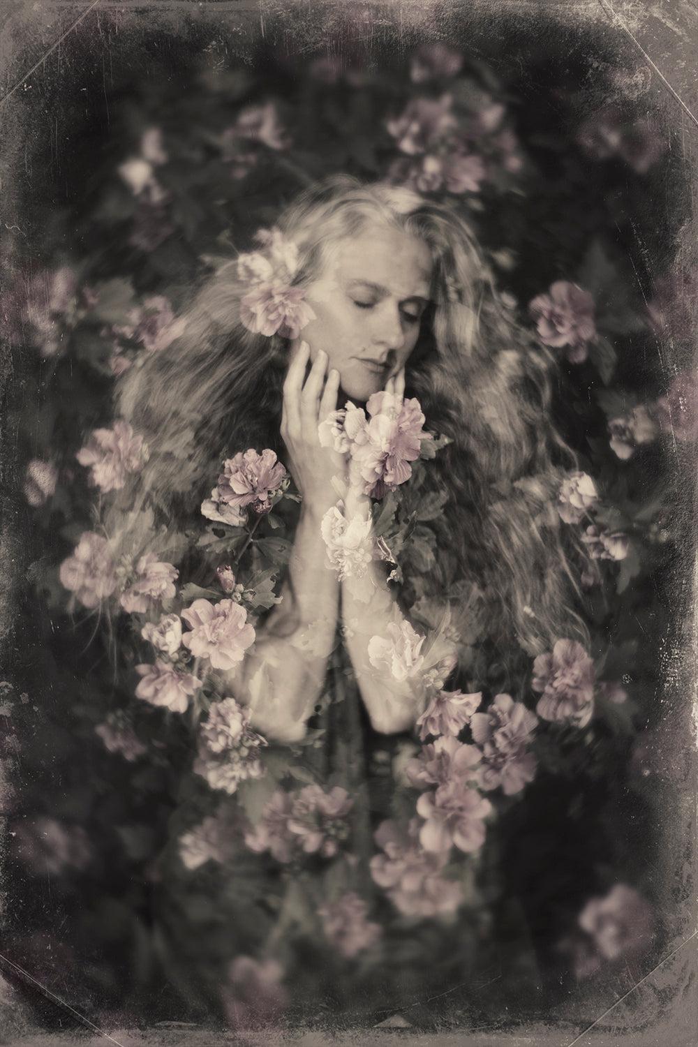 Self Portrait Pink Roses