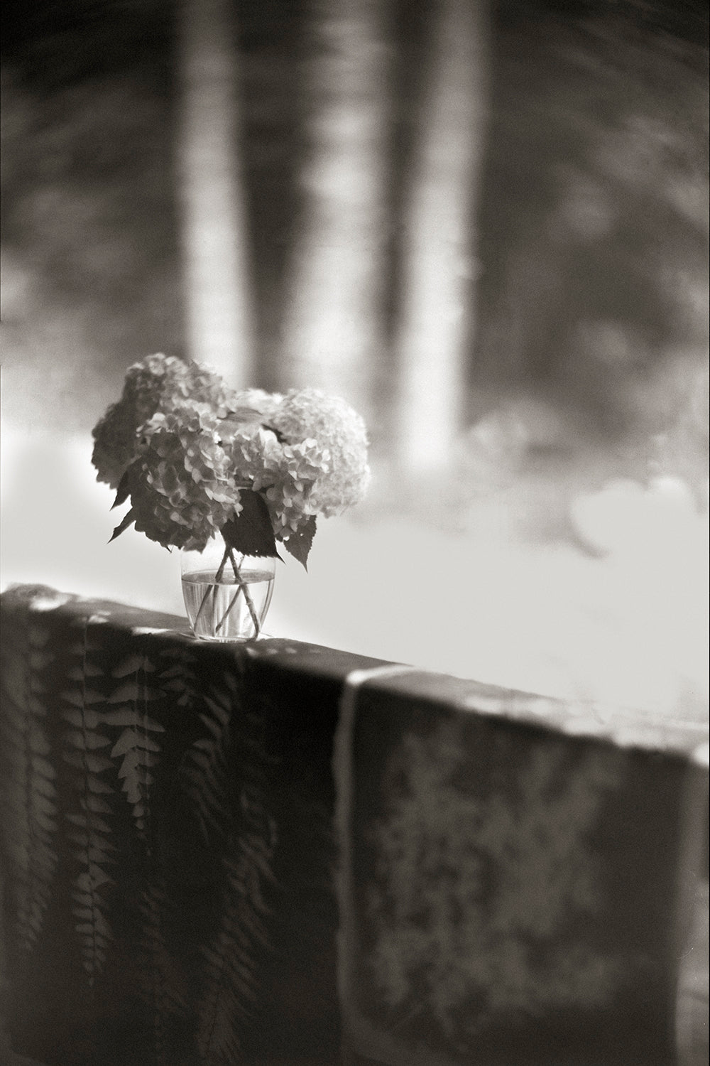 Hydrangeas with Quilt
